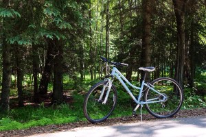 Alaska Coastal trail